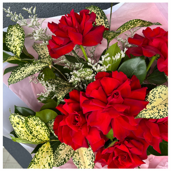 True Love Valentine's Day Red Roses